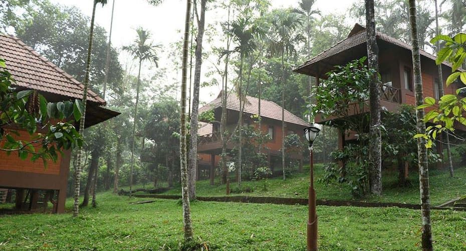 Jaziel Rose Garden Homestay, Wayanad 5
